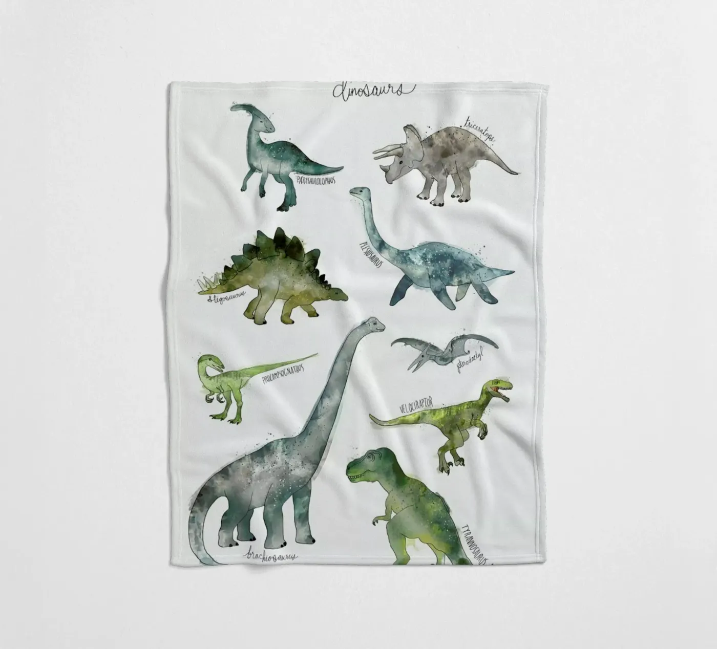 Dinosaurs Fleecedecke von Amy Hamilton