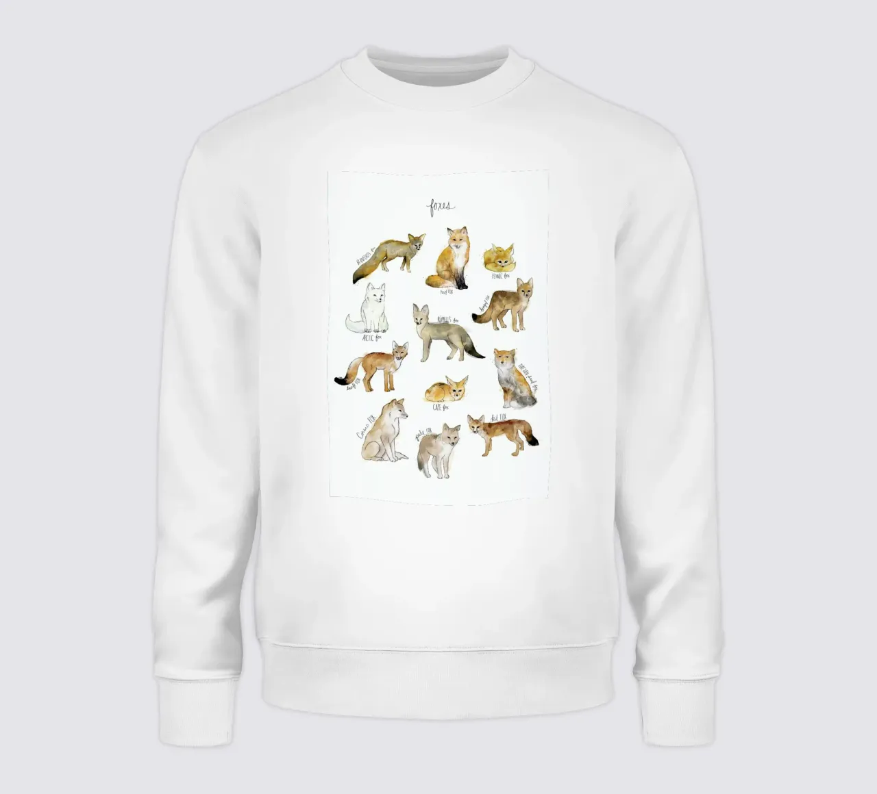 Foxes felpa da Amy Hamilton