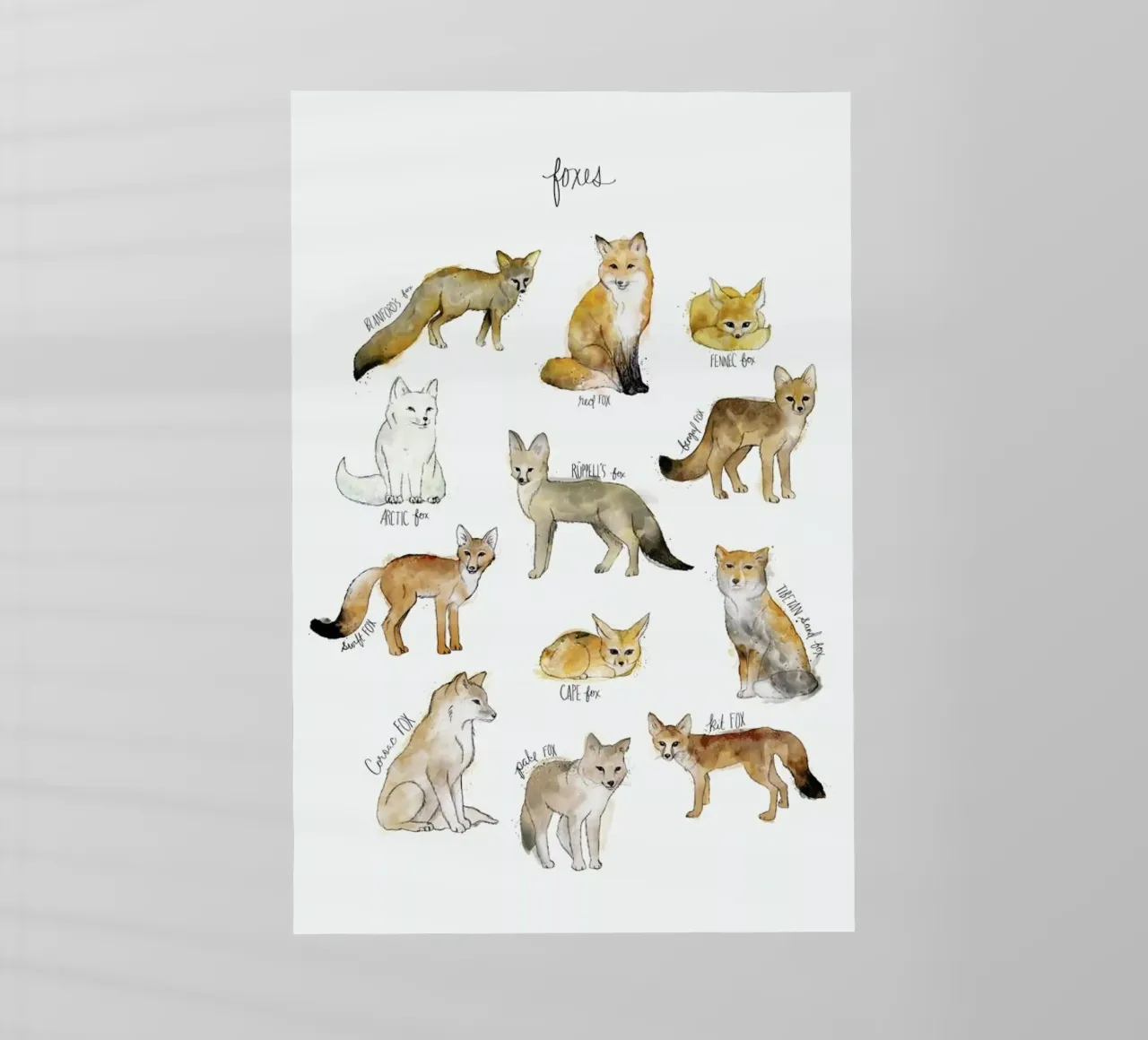 Foxes pellicola backlit da Amy Hamilton