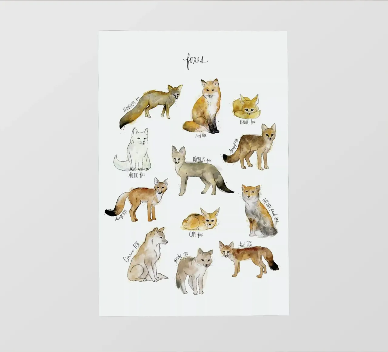 Foxes pellicola backlit da Amy Hamilton