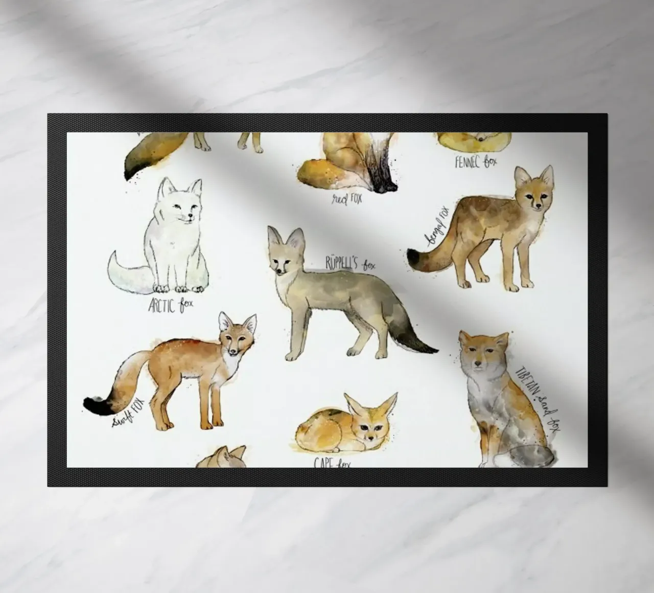 Foxes zerbino da Amy Hamilton