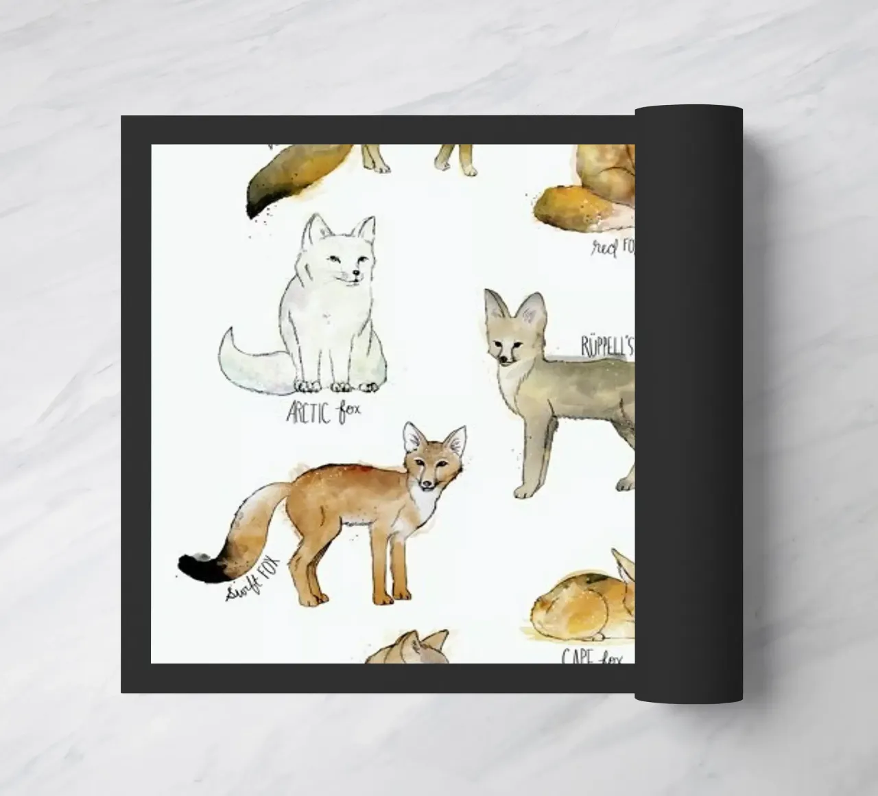 Foxes zerbino da Amy Hamilton