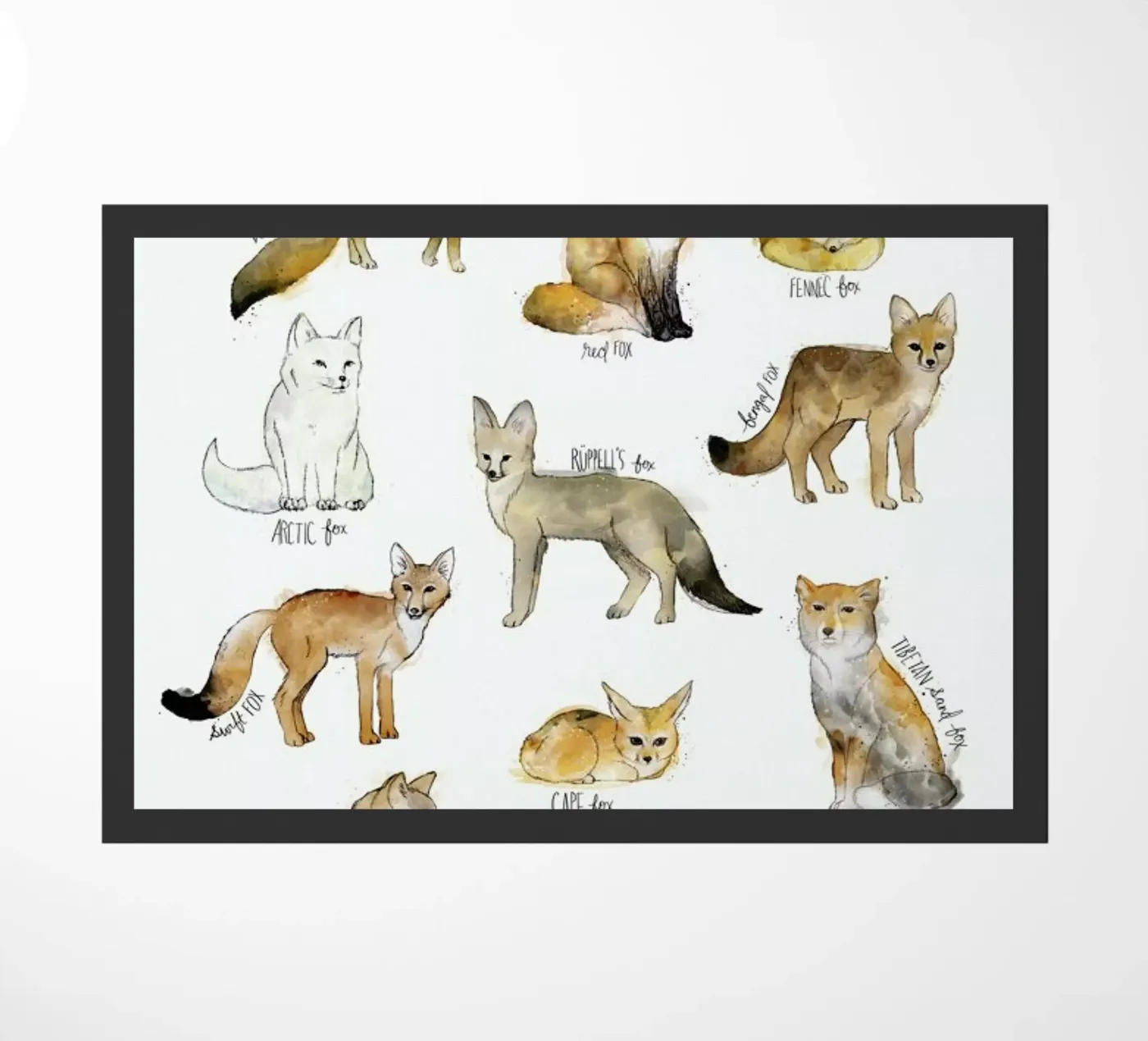 Foxes doormat by Amy Hamilton