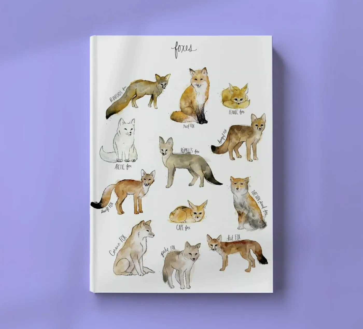 Foxes notebook by Amy Hamilton