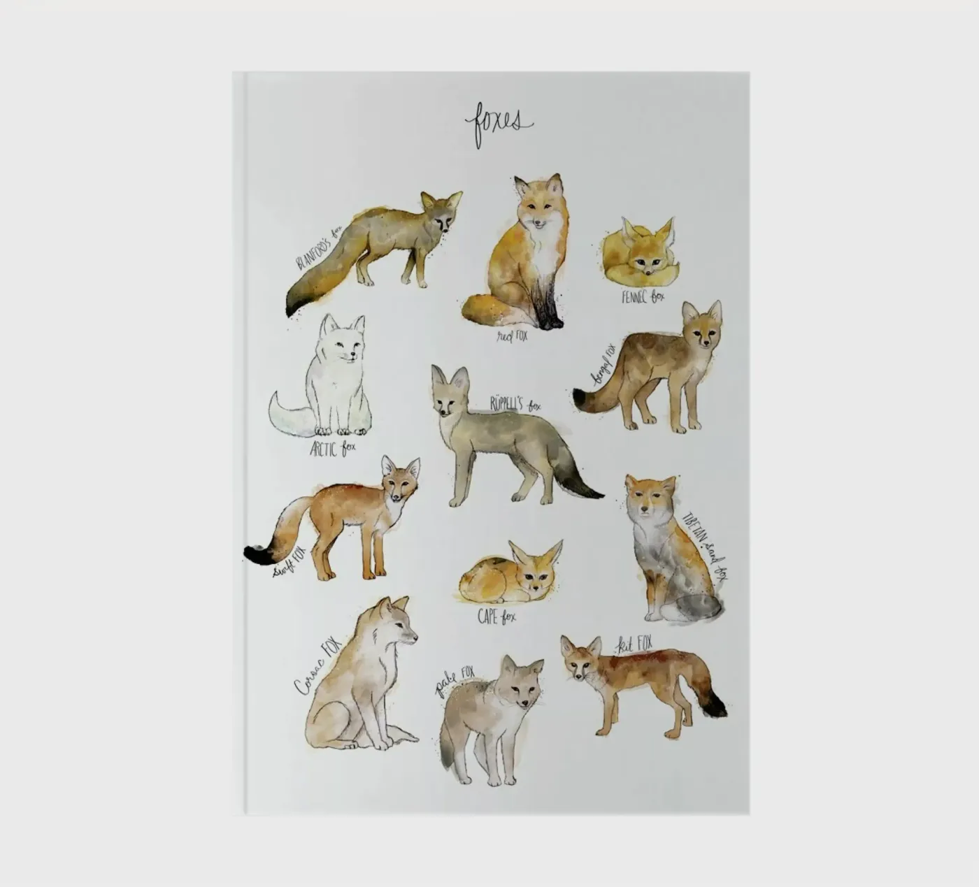 Foxes notebook by Amy Hamilton