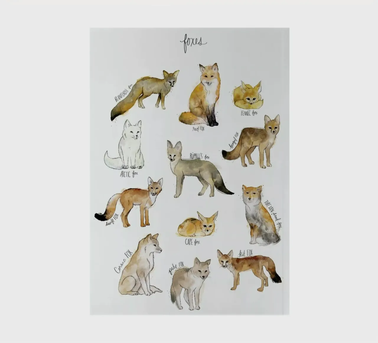 Foxes notebook by Amy Hamilton