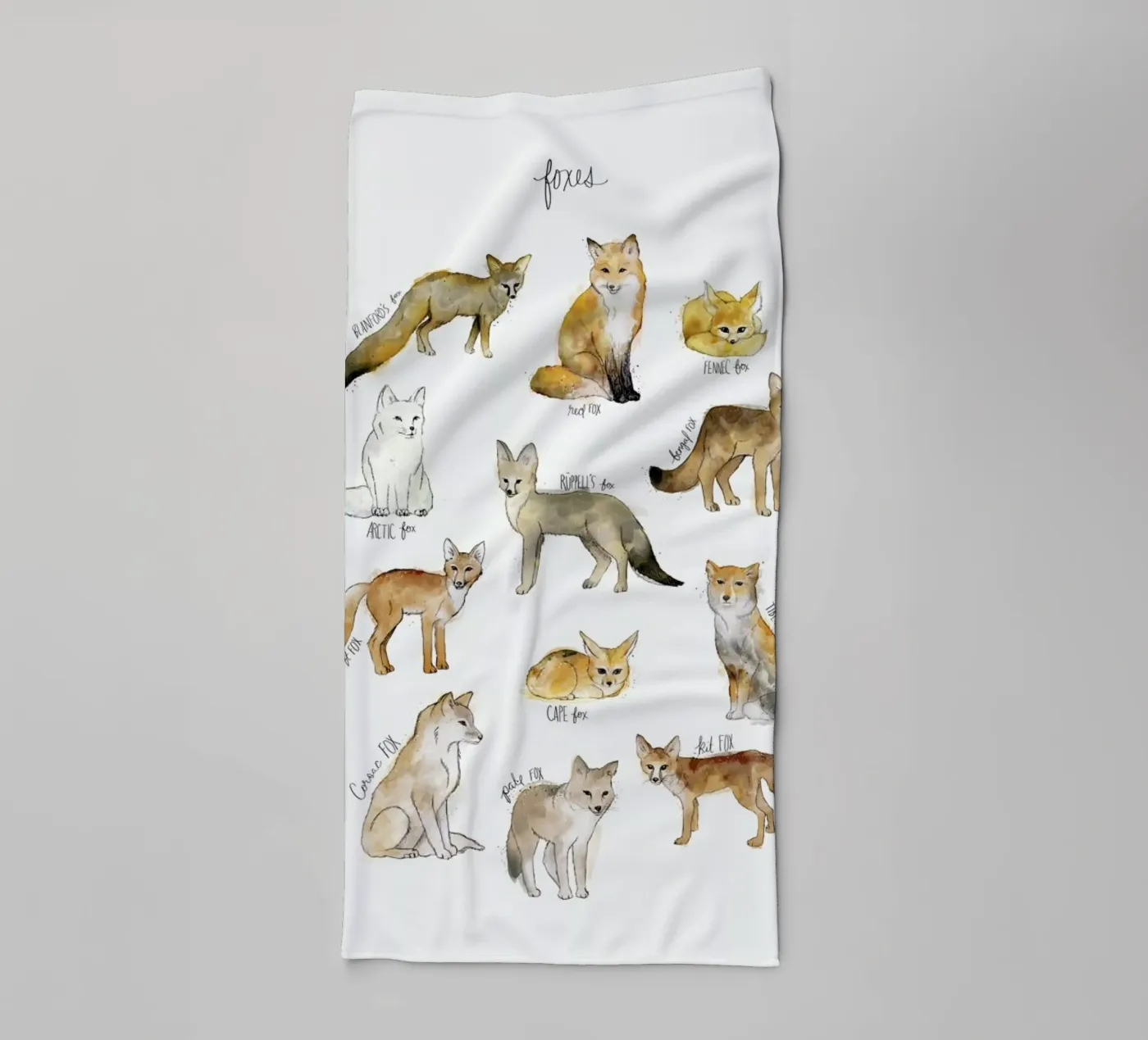 Foxes Handtuch von Amy Hamilton