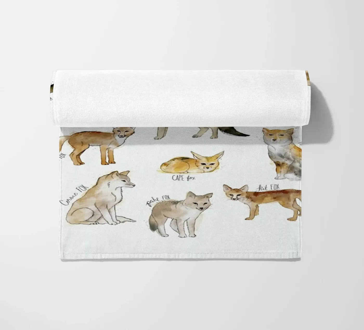 Foxes beach towel by Amy Hamilton