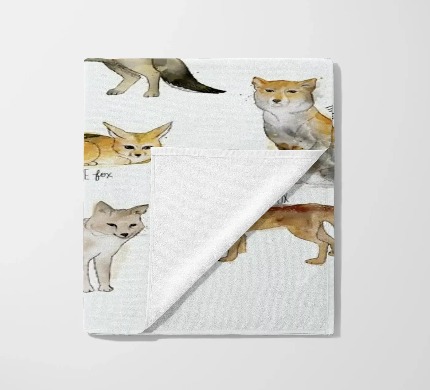 Foxes beach towel by Amy Hamilton