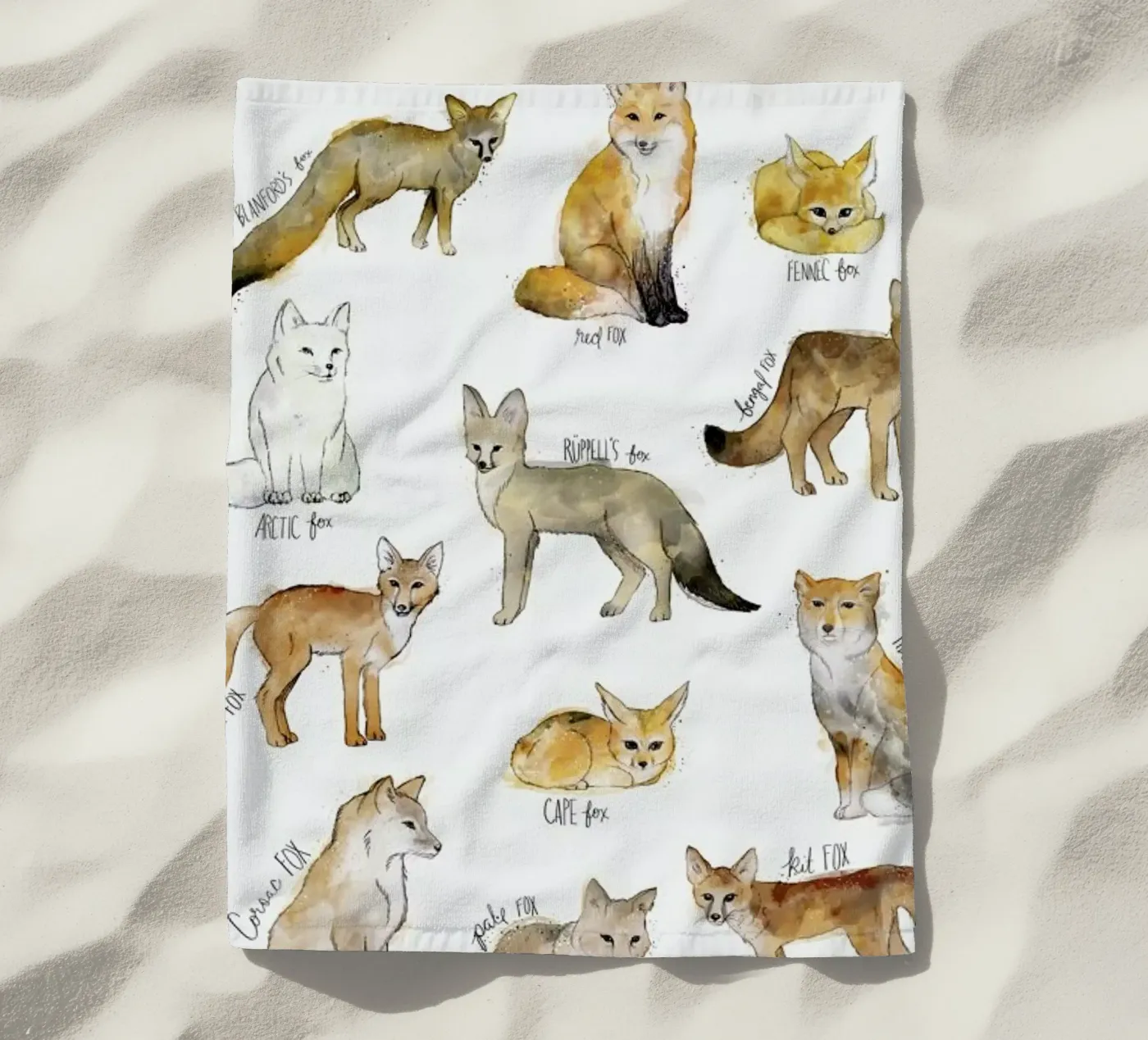 Foxes beach towel by Amy Hamilton