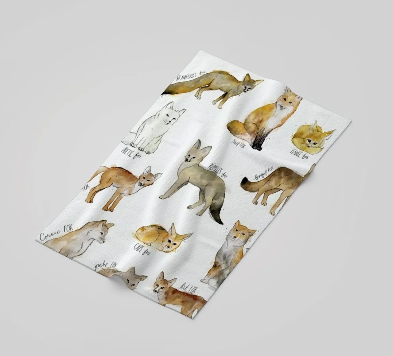 Foxes telo mare da Amy Hamilton