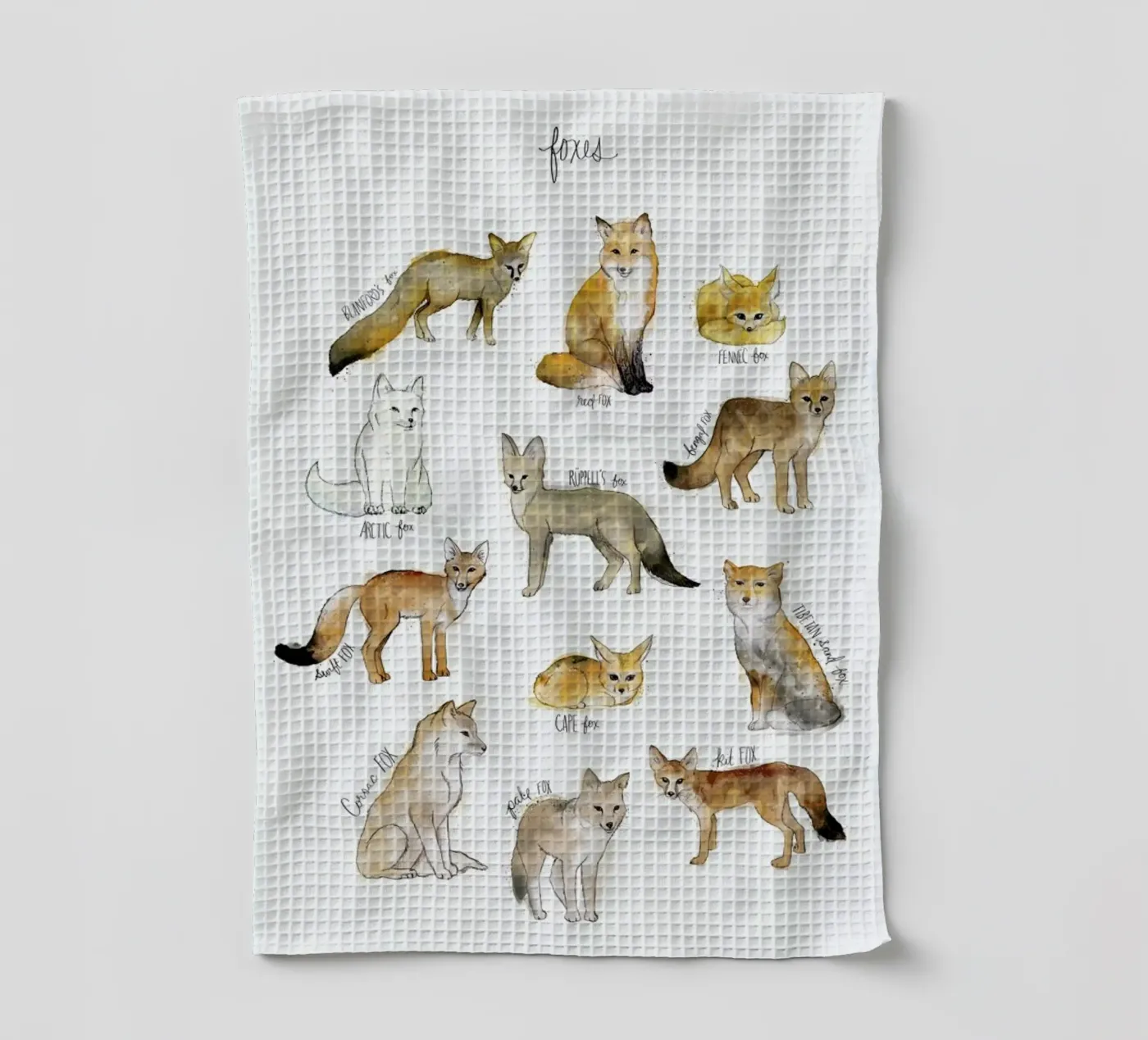 Foxes Geschirrtuch von Amy Hamilton
