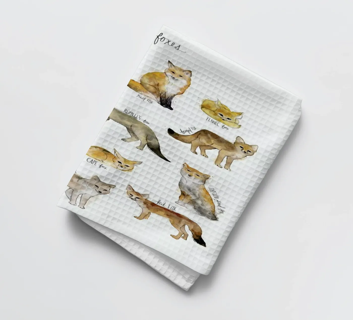 Foxes Geschirrtuch von Amy Hamilton