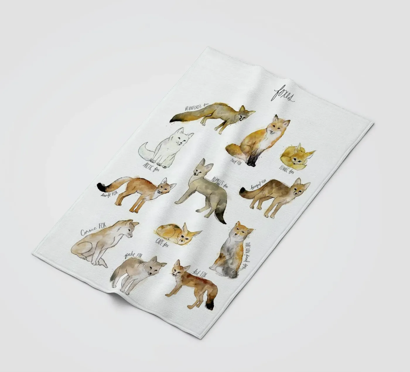Foxes coperta in pile da Amy Hamilton