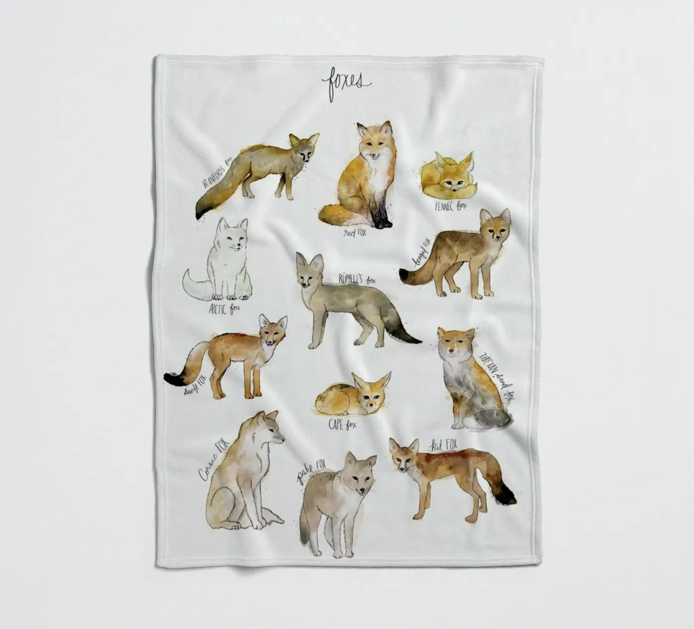 Foxes coperta in pile da Amy Hamilton