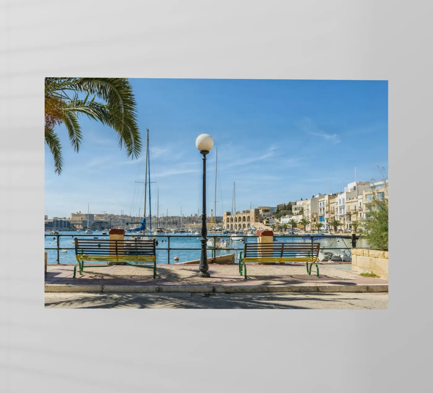 Viale pellicola backlit da Curious Collections by Marielle Leenders