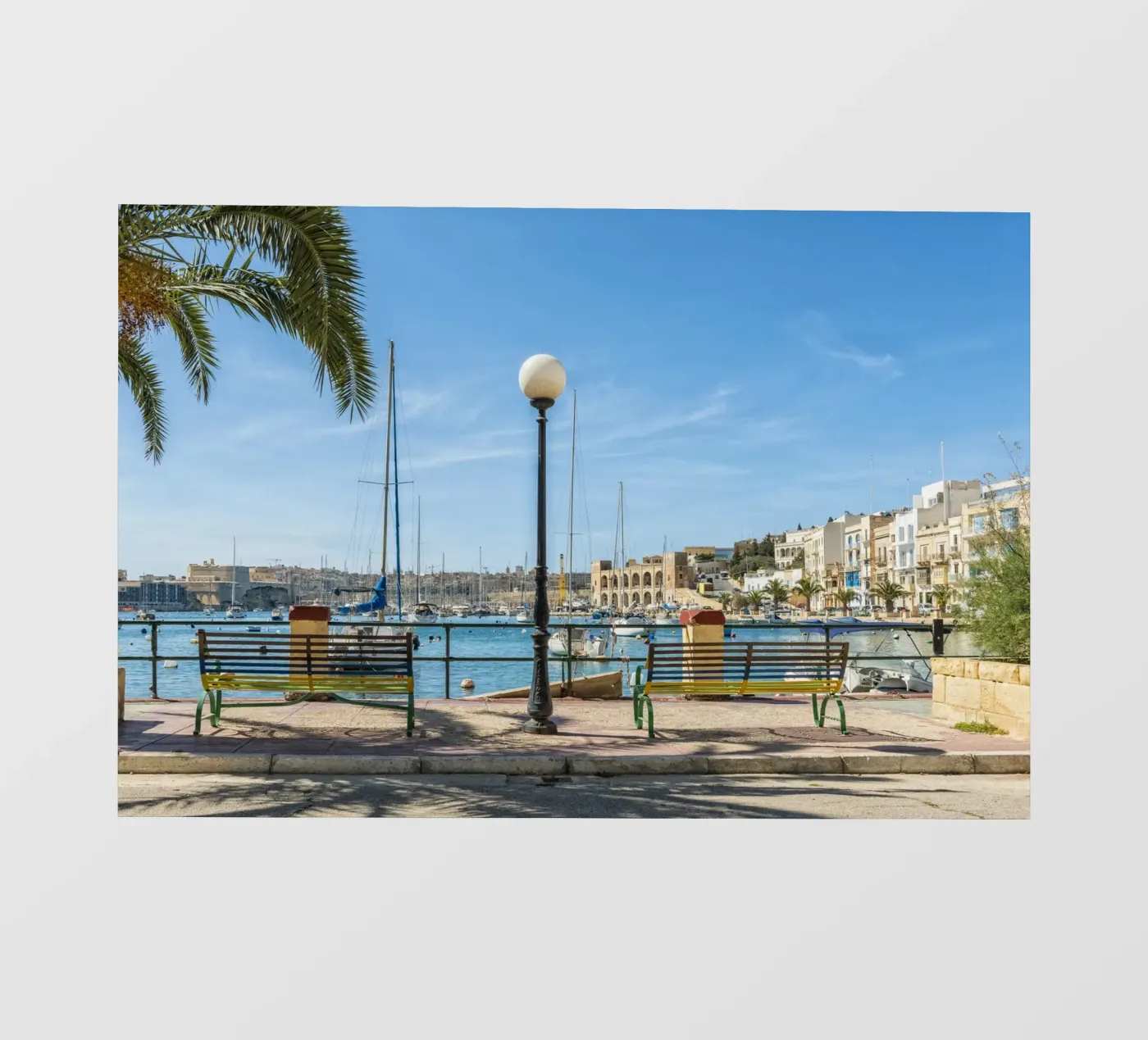 Viale pellicola backlit da Curious Collections by Marielle Leenders