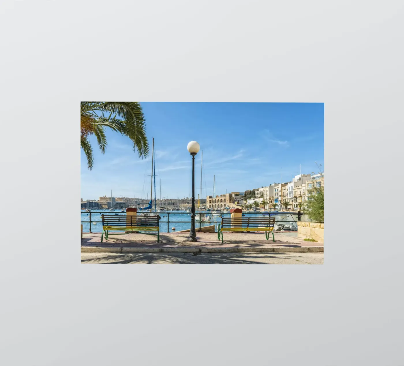 Boulevard sticker van Curious Collections by Marielle Leenders