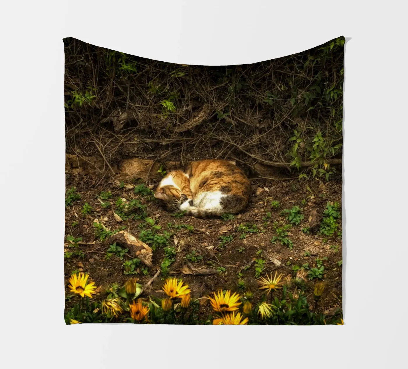 Schlafende Katze Fleecedecke von Curious Collections by Marielle Leenders