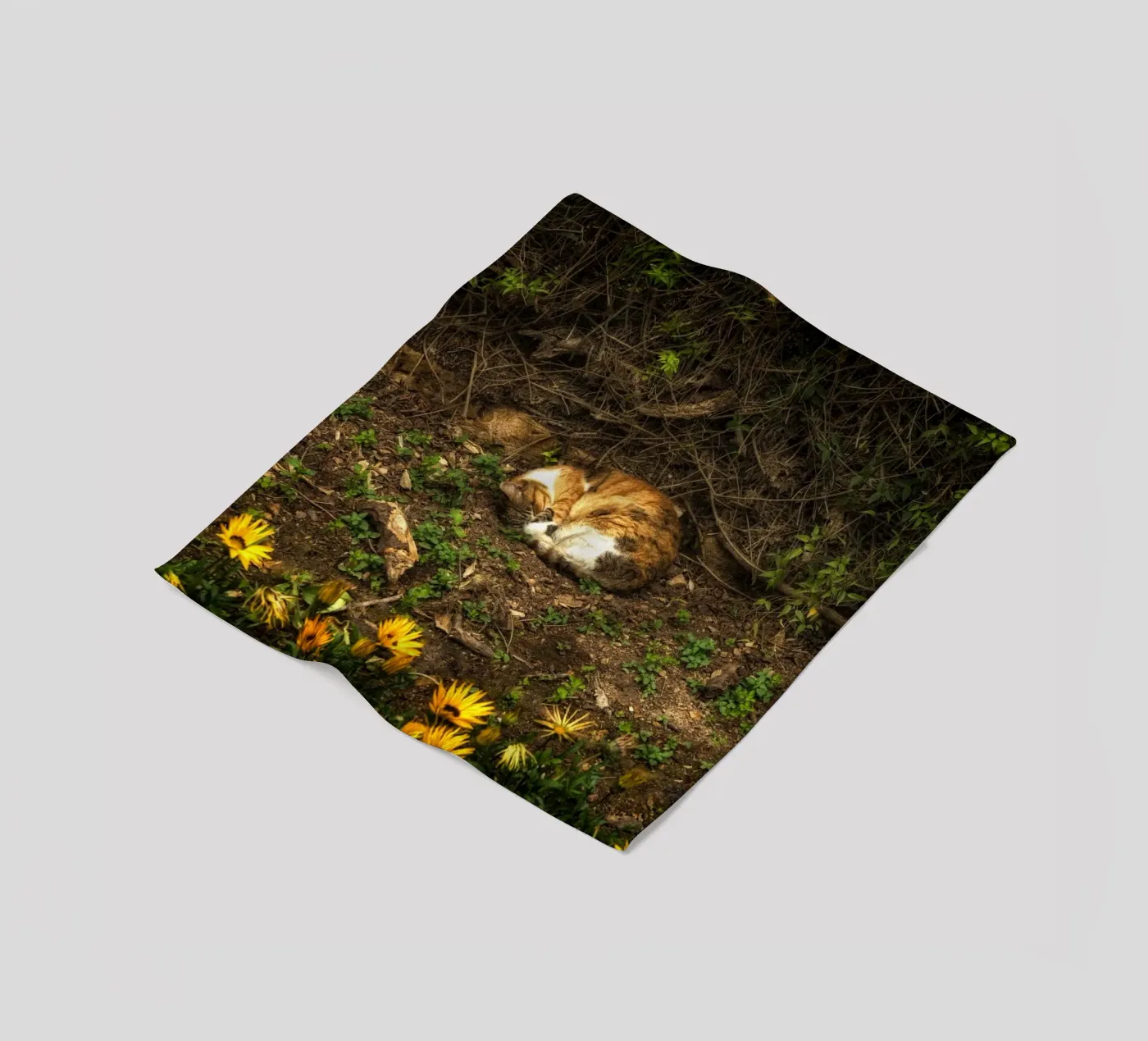 Schlafende Katze Fleecedecke von Curious Collections by Marielle Leenders