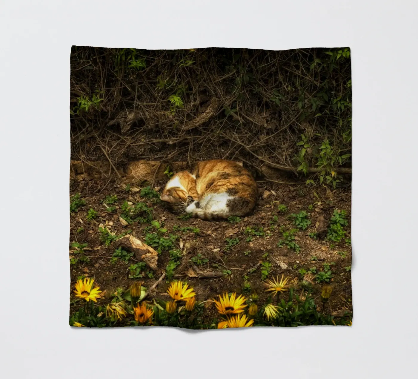 Schlafende Katze Fleecedecke von Curious Collections by Marielle Leenders