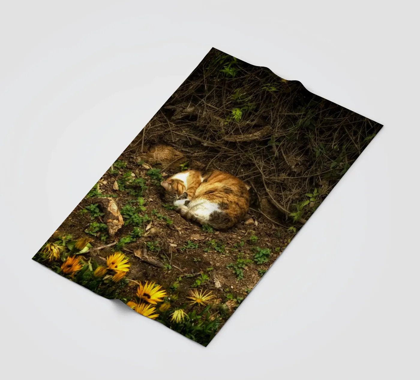 Schlafende Katze Fleecedecke von Curious Collections by Marielle Leenders