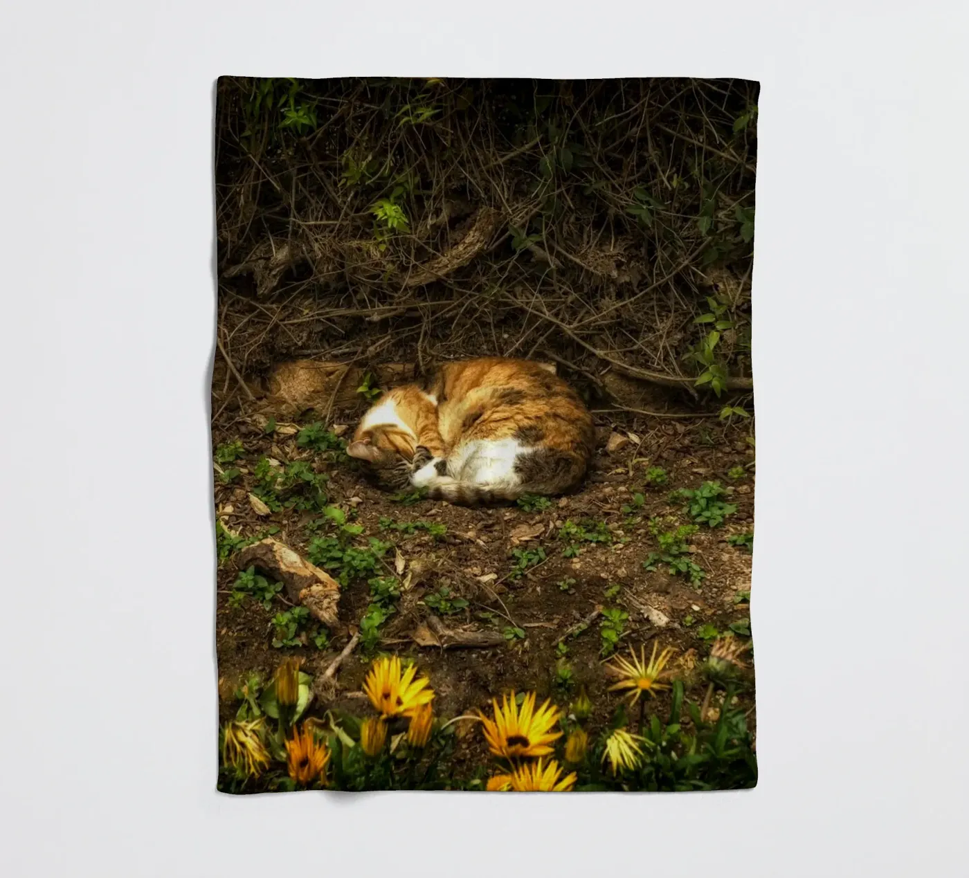 Schlafende Katze Fleecedecke von Curious Collections by Marielle Leenders
