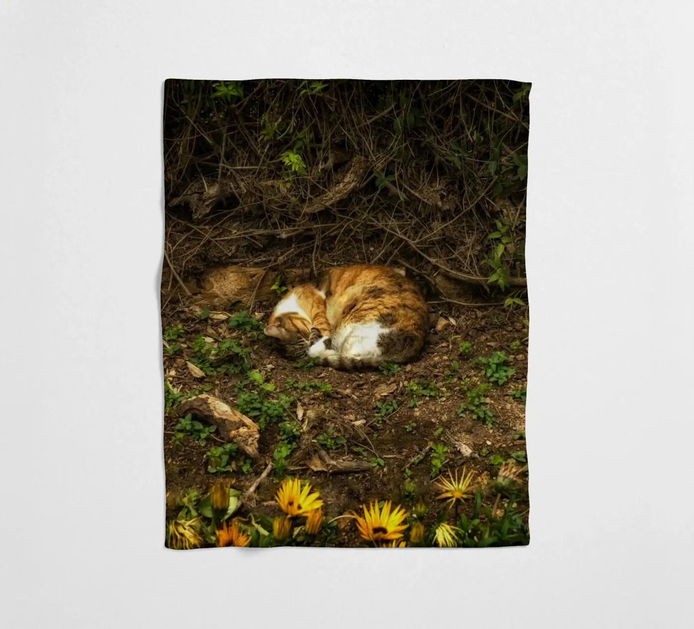 Schlafende Katze Fleecedecke von Curious Collections by Marielle Leenders