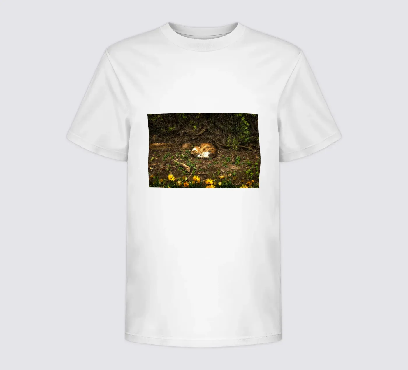 Slapende kat kinder t-shirt van Curious Collections by Marielle Leenders