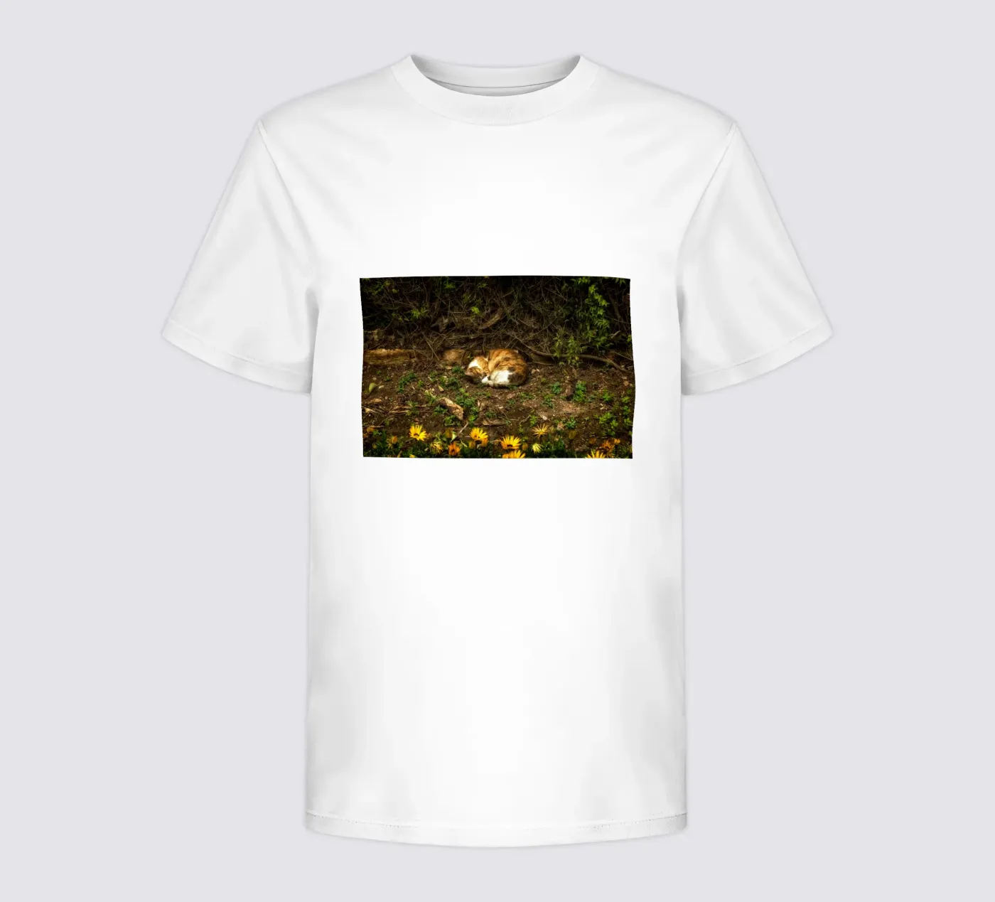 Slapende kat kinder t-shirt van Curious Collections by Marielle Leenders