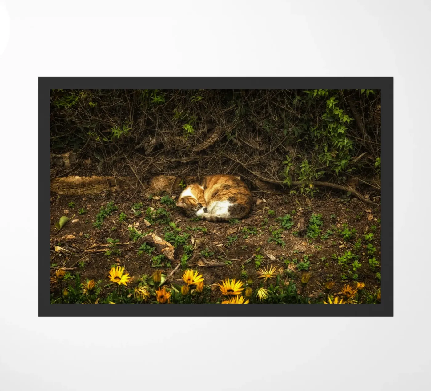 Sleeping Cat paillasson de Curious Collections by Marielle Leenders