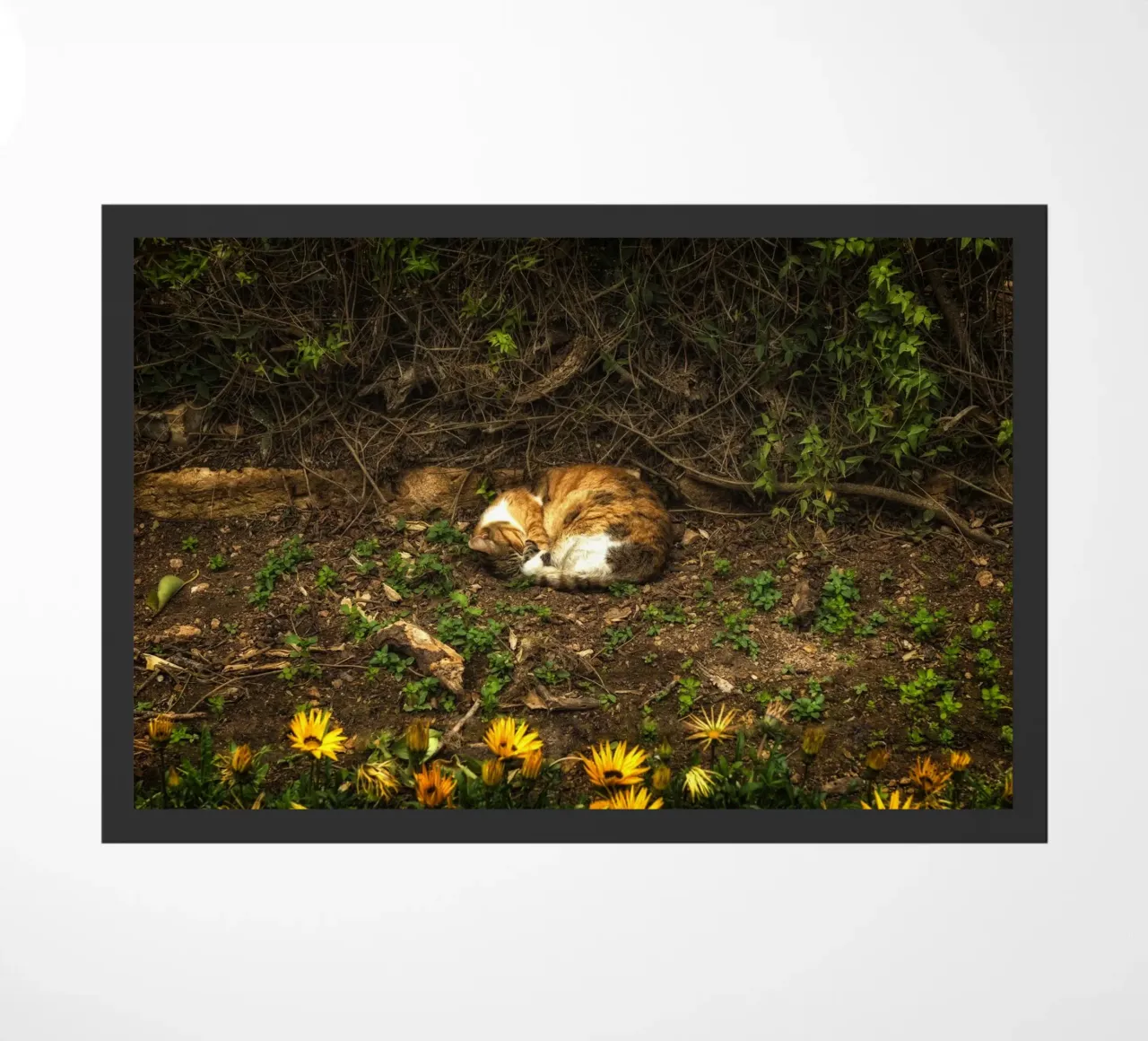 Sleeping Cat deurmat van Curious Collections by Marielle Leenders