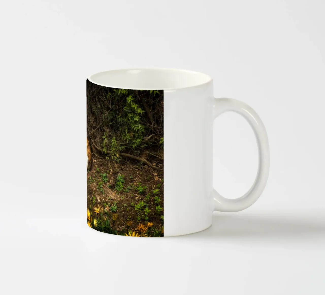 Sleeping Cat ceramic mug by Curious Collections by Marielle Leenders