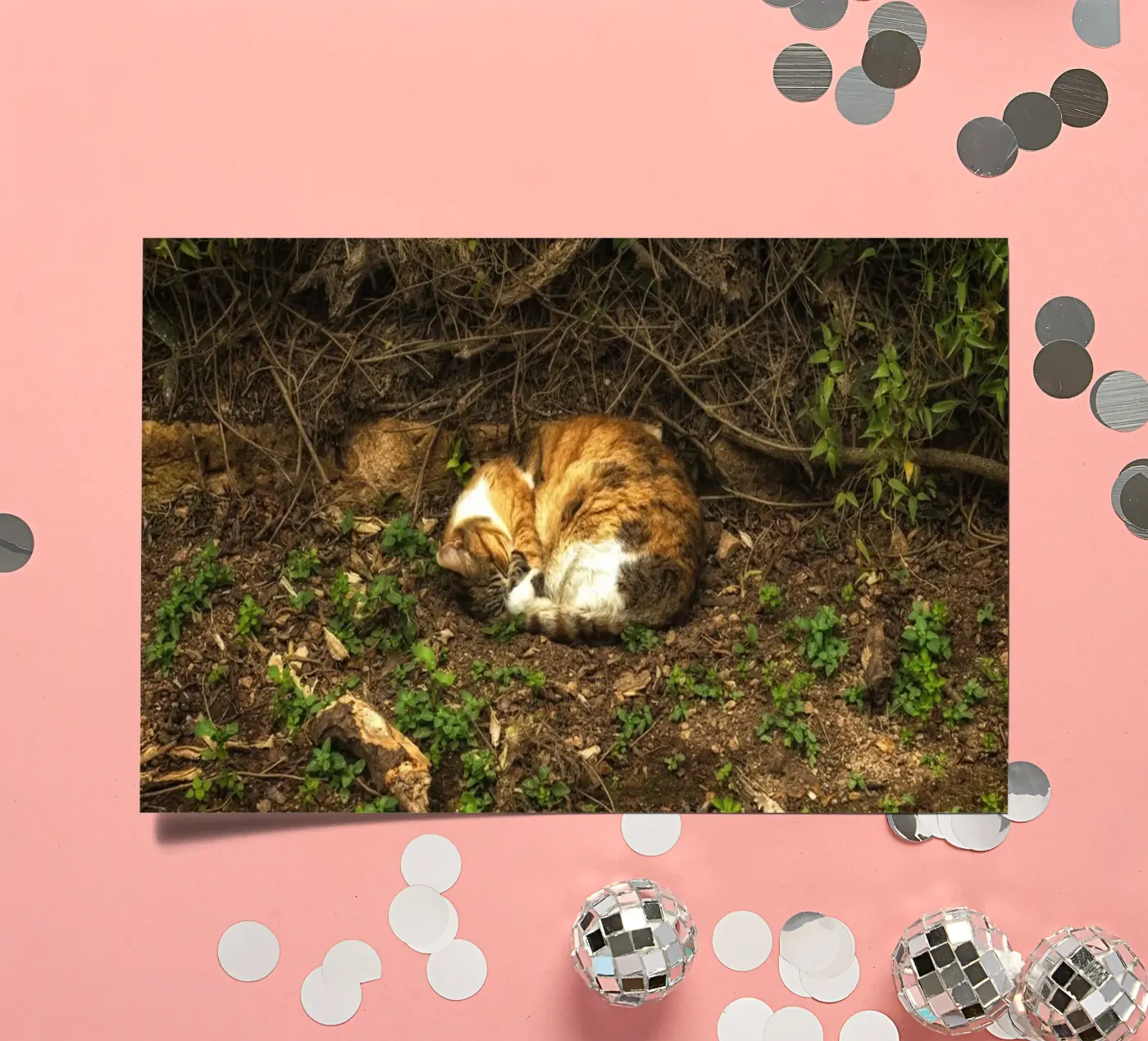 Sleeping Cat sticker sheet by Curious Collections by Marielle Leenders