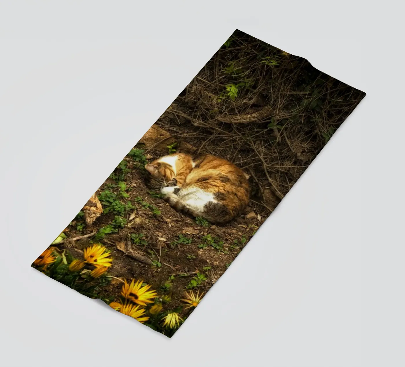 Gatto che dorme telo mare da Curious Collections by Marielle Leenders