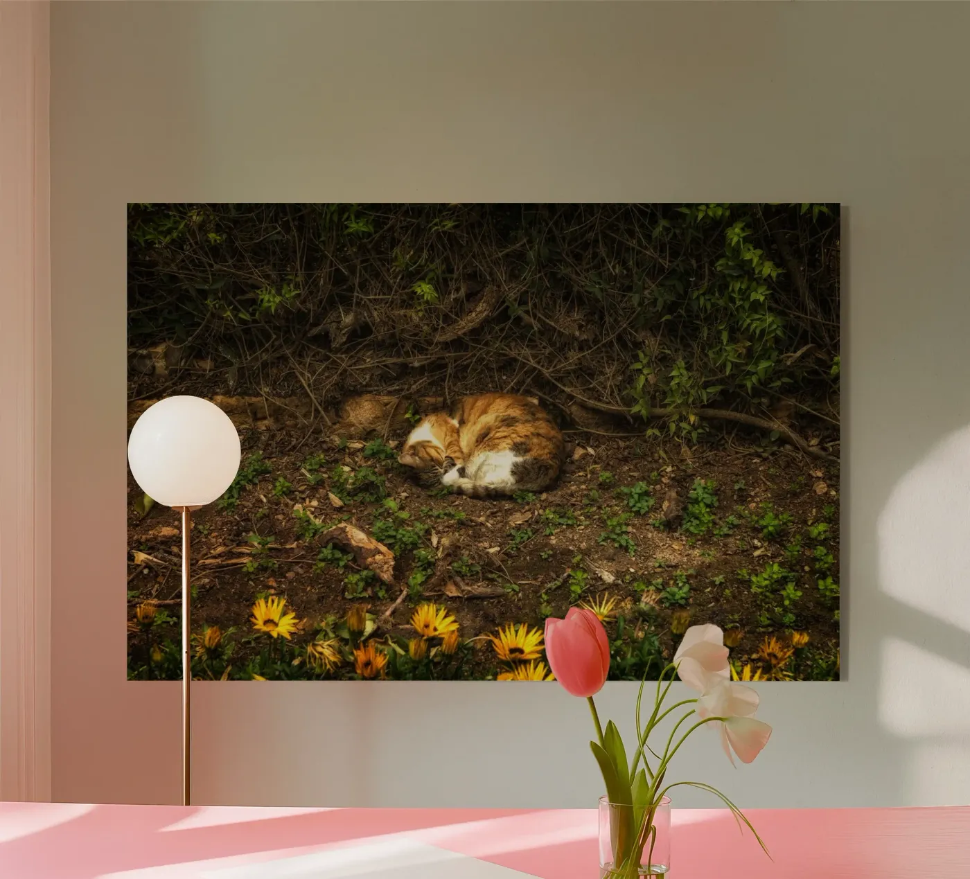 Slapende kat acryl van Curious Collections by Marielle Leenders