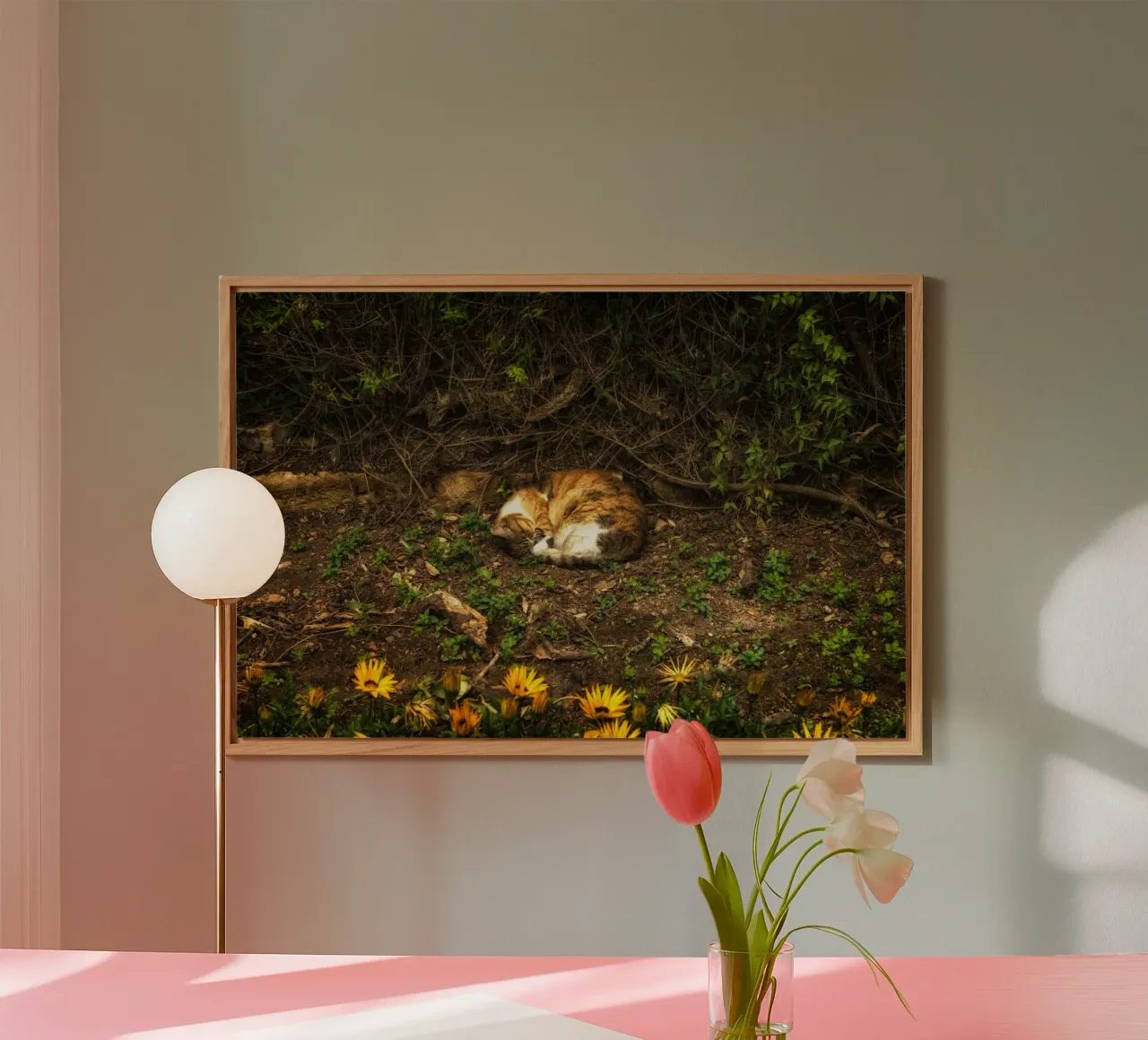 Sleeping Cat forex plate by Curious Collections by Marielle Leenders