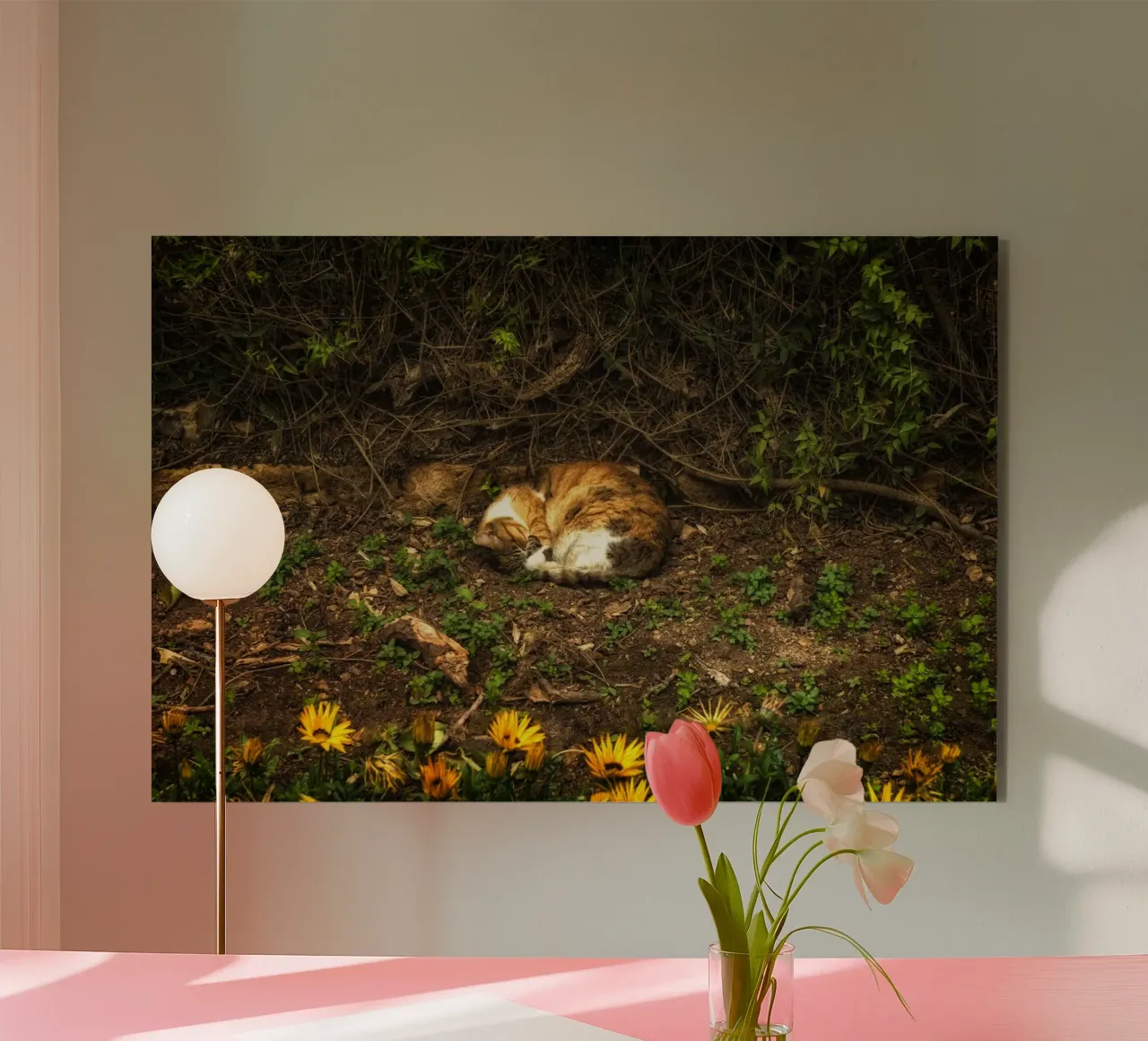 Sleeping Cat forex plate by Curious Collections by Marielle Leenders