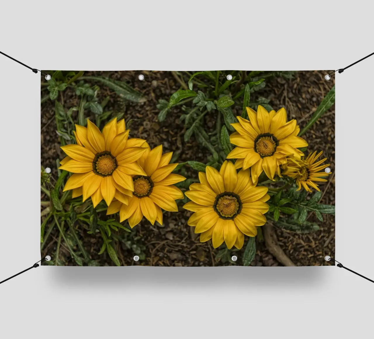 Fiori d'oro telo in pvc da Curious Collections by Marielle Leenders