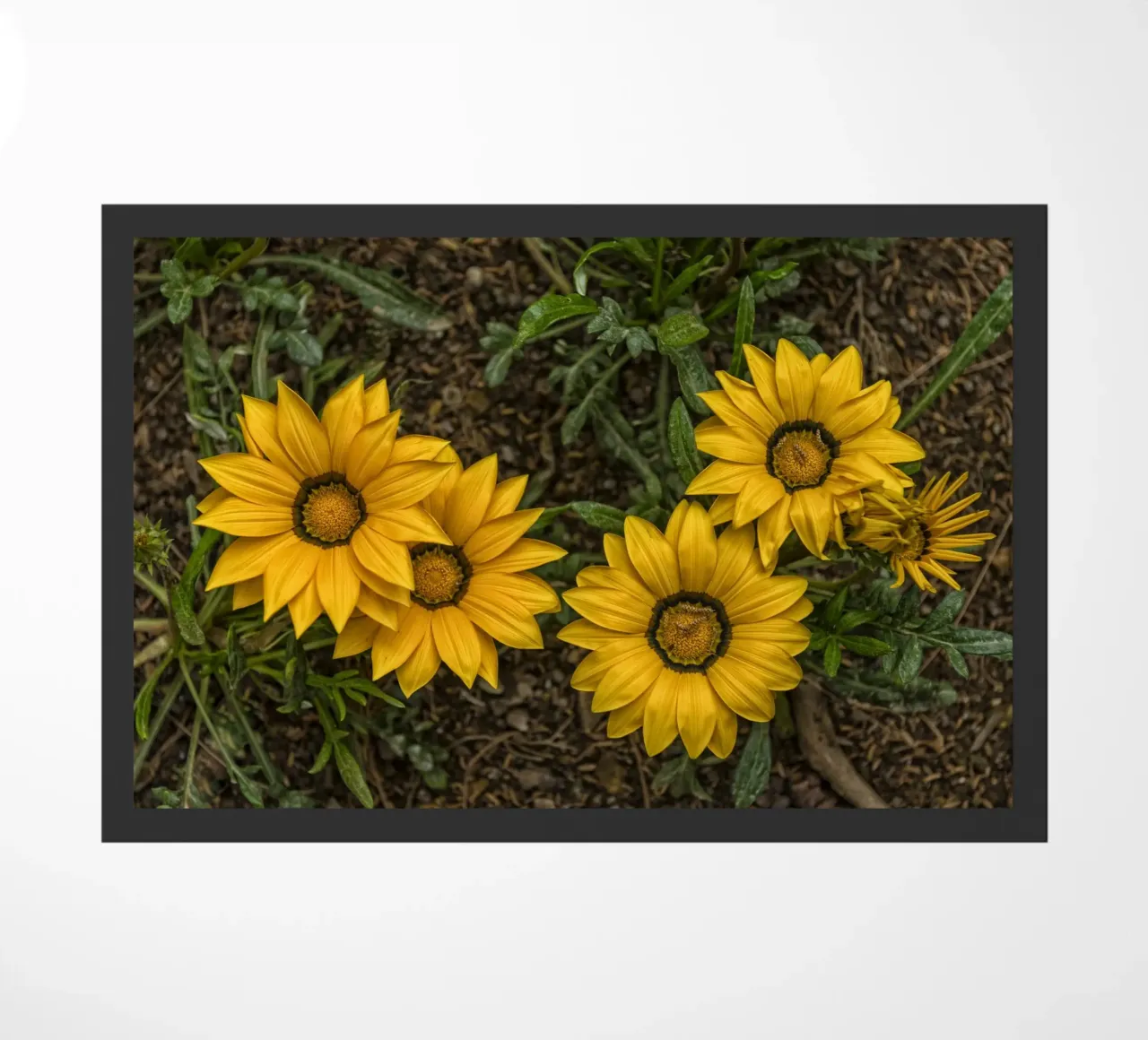 Fiori d'oro zerbino da Curious Collections by Marielle Leenders