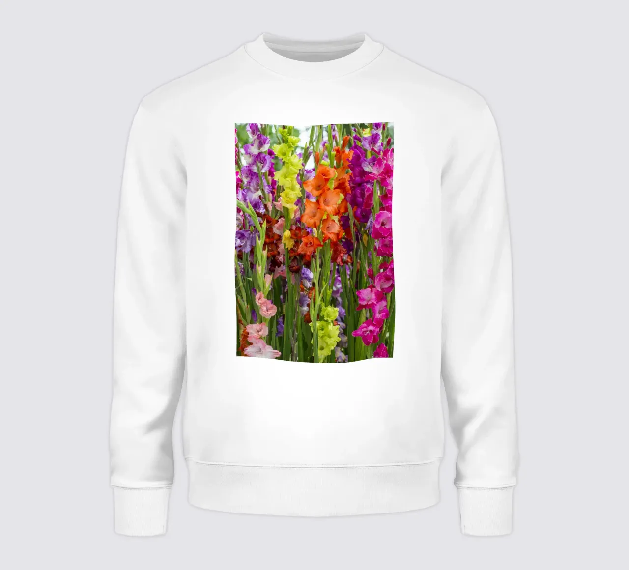 Fioriture vibranti di gladioli felpa da Curious Collections by Marielle Leenders