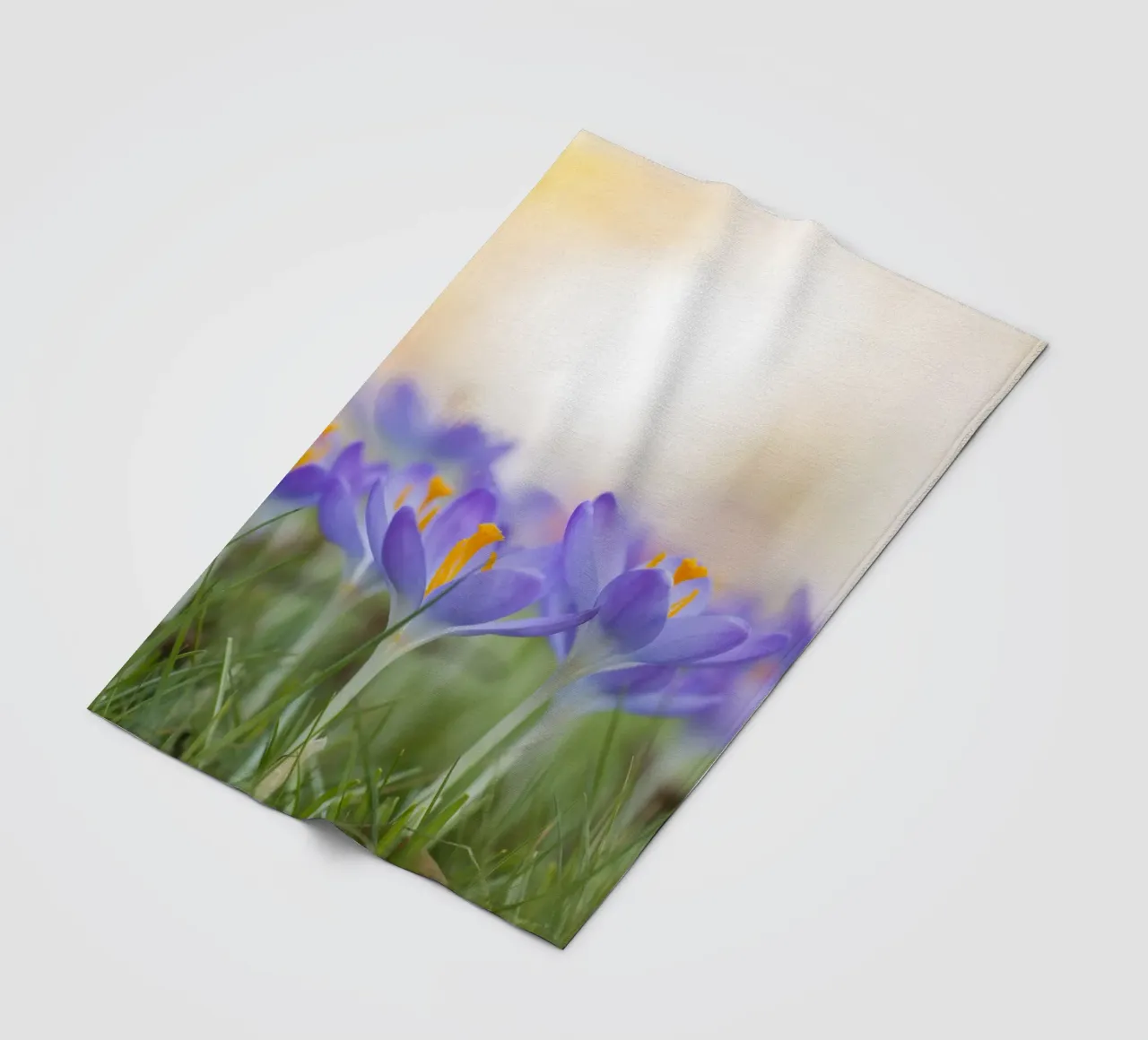 Crocus mauves plaid polaire de Curious Collections by Marielle Leenders