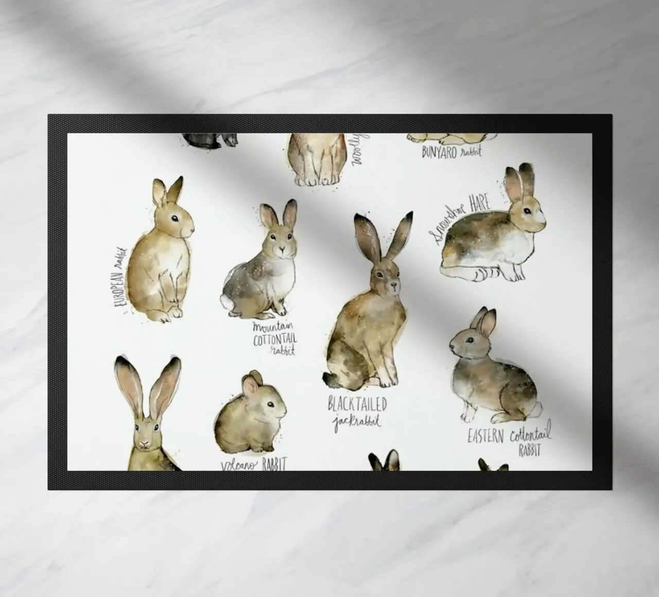Rabbits and Hares zerbino da Amy Hamilton