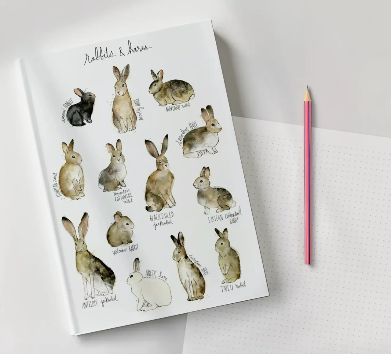 Rabbits and Hares notebook by Amy Hamilton