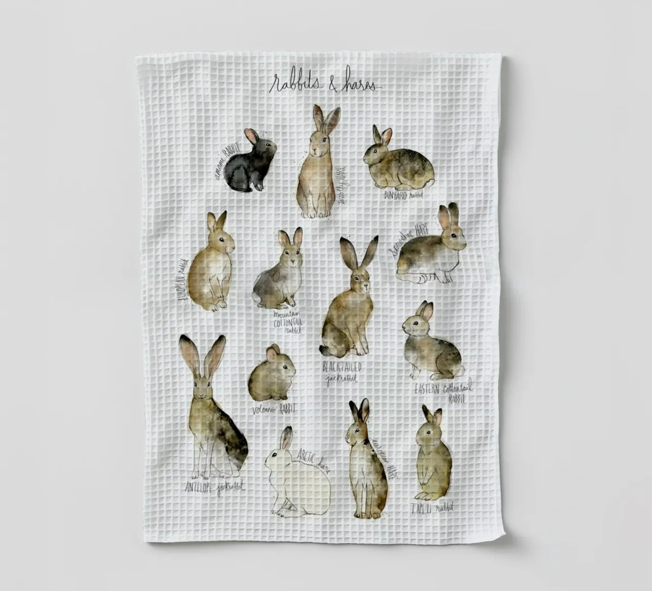 Rabbits and Hares canovaccio da cucina da Amy Hamilton