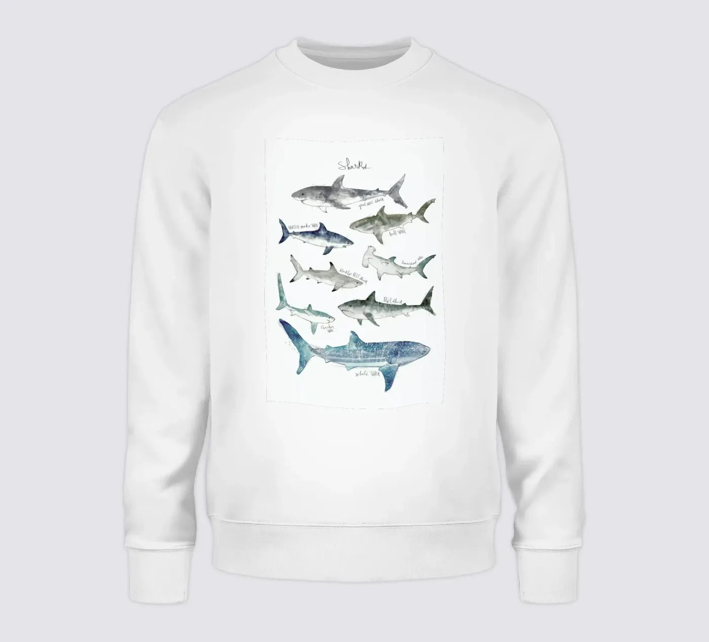 Sharks felpa da Amy Hamilton