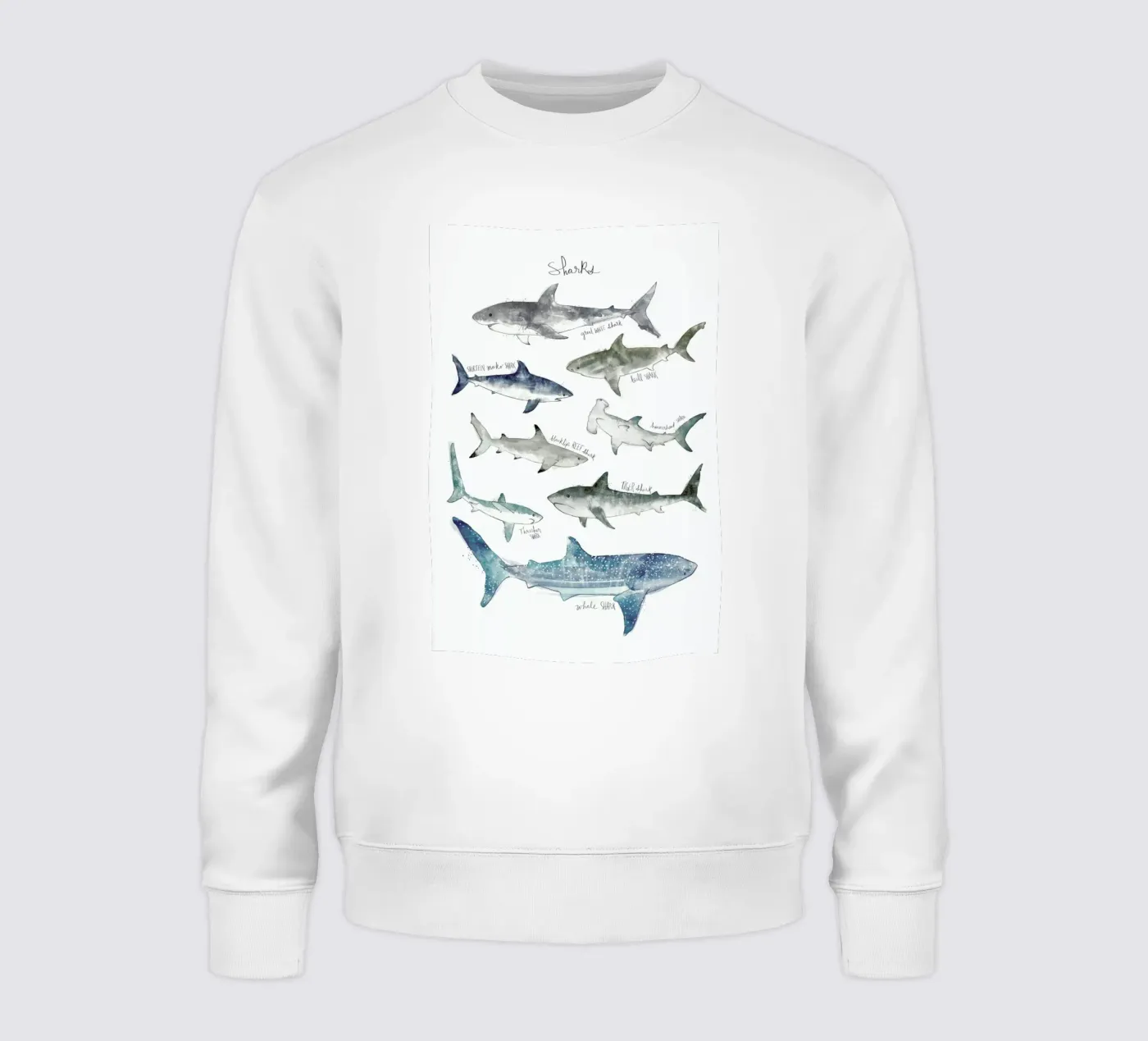 Sharks felpa da Amy Hamilton