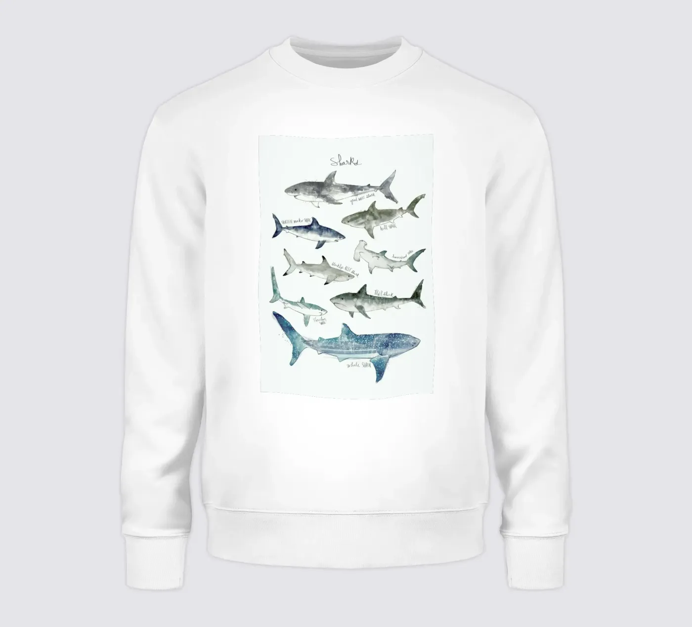 Sharks felpa da Amy Hamilton