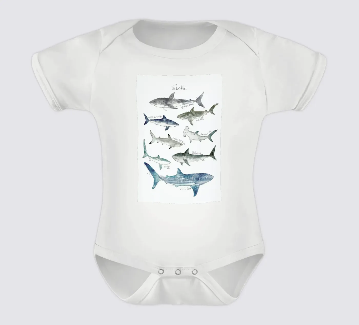 Sharks body bébé de Amy Hamilton