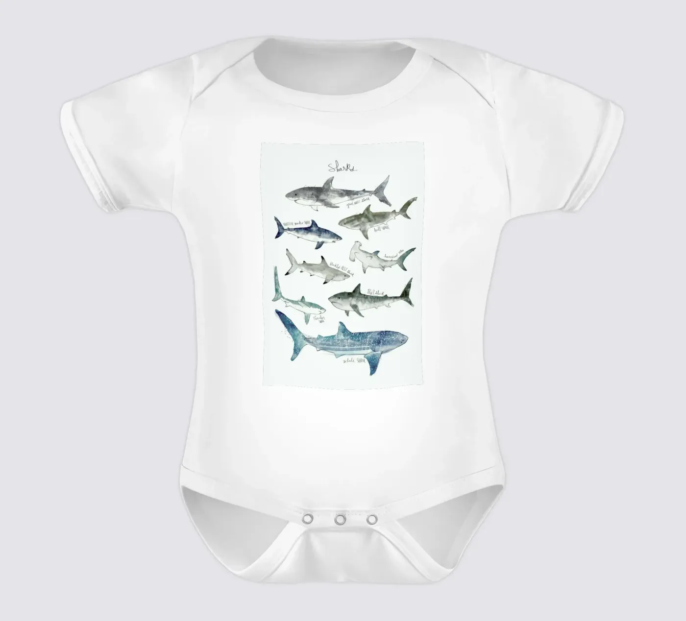 Sharks body bébé de Amy Hamilton